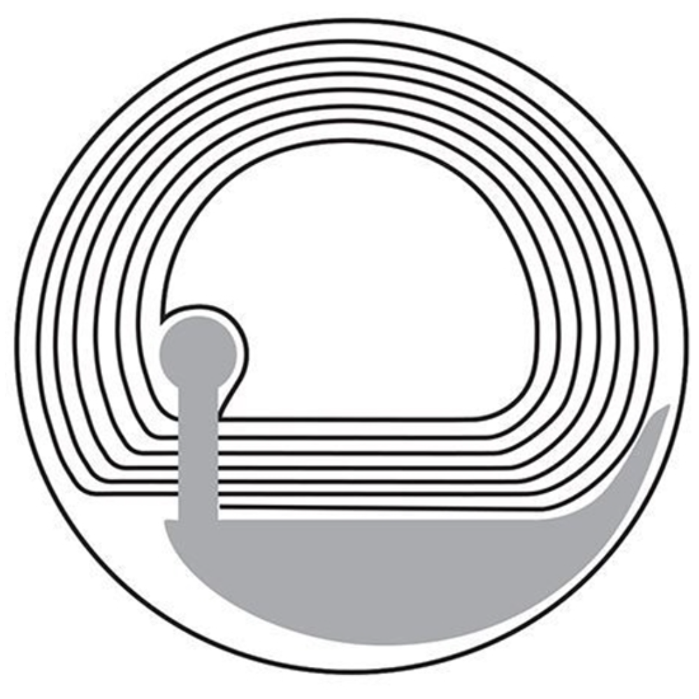 SECURITY CLEAR ALARM TAG